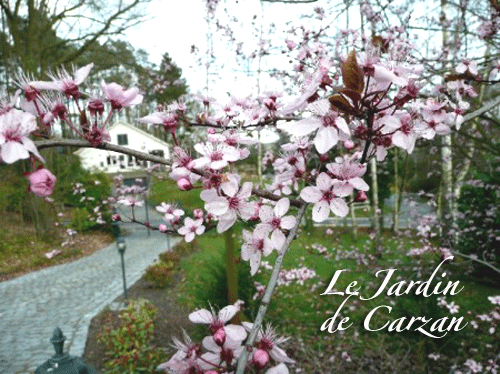 Le Jardin de Carzan