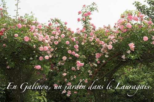 En Galinou, un jardin dans le Lauragais