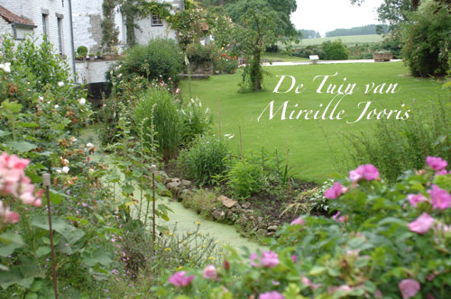 De tuin van Mireille Jooris