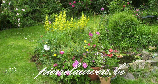 De Website van Pierre Lauwers
