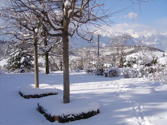 DSC00161