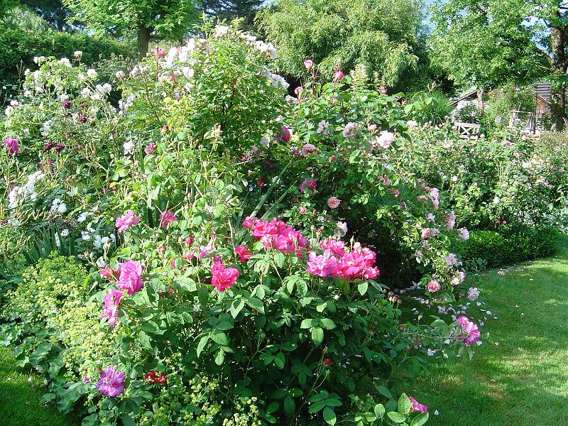 DSC01365
