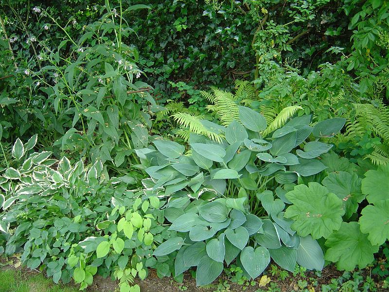 DSC01390
