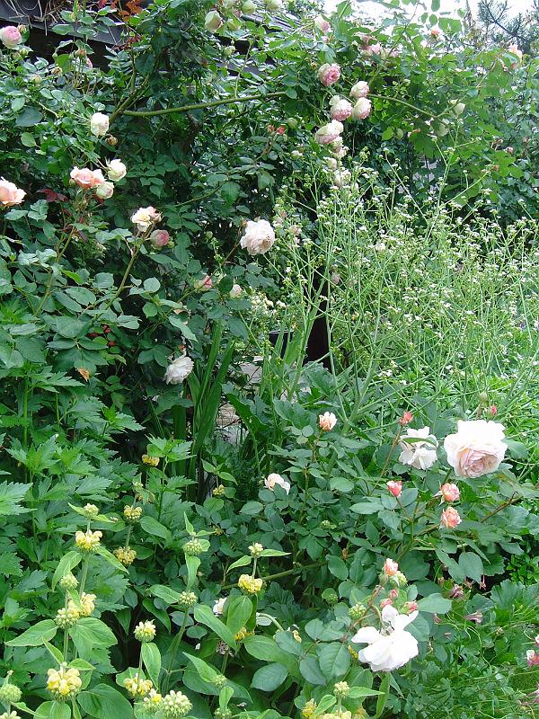 DSC01392