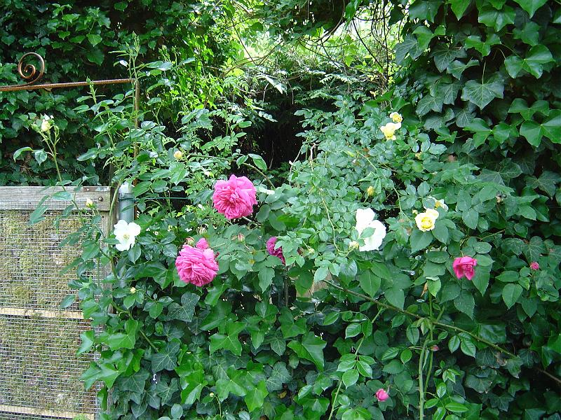 DSC01402