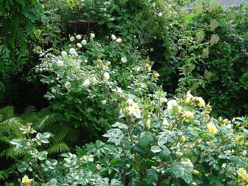 DSC01404