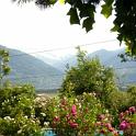DSC00556
