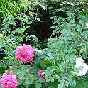 DSC01402