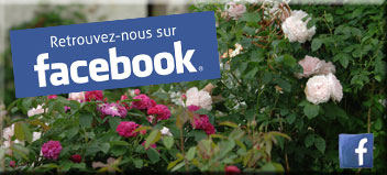 Rejoignez-nous !