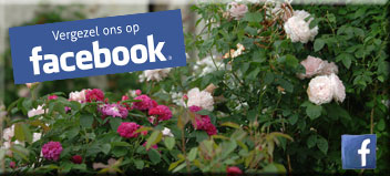 Vergezel ons!