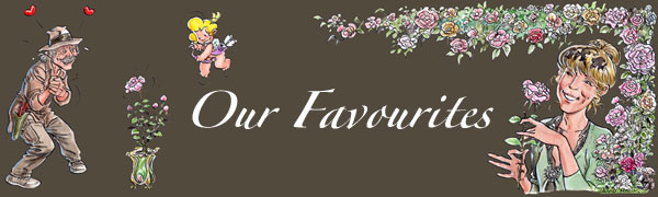 Our Favourites