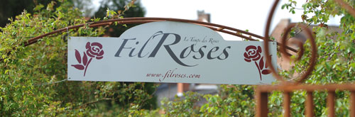 FilRoses