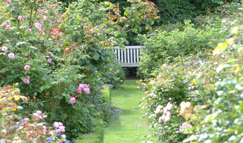 Openingsuren en wegbeschrijving FilRoses