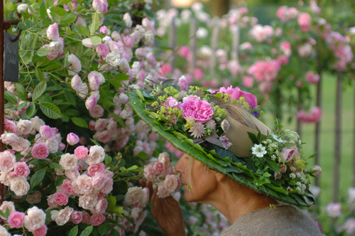 Pépinière FilRoses