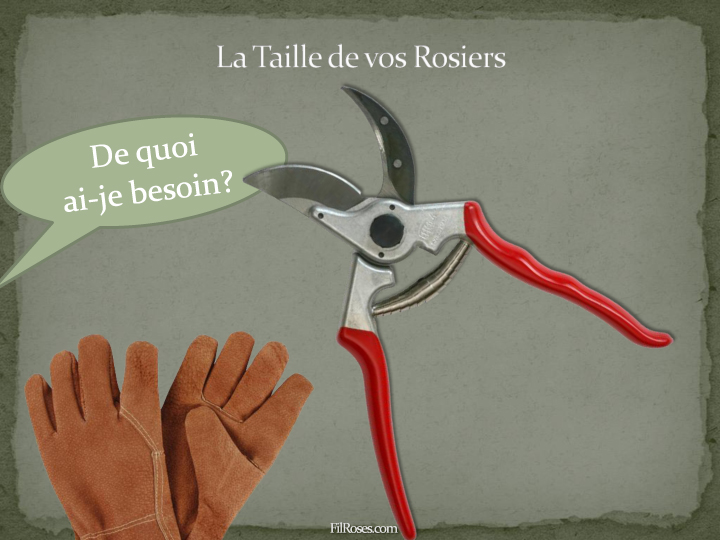 De Quoi ai-je besoin?