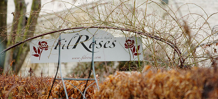 FilRoses - Le Temps des Roses