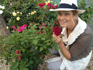 Nouveaux Rosiers FilRoses
